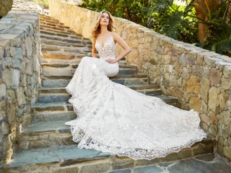 Picture for category wedding gowns