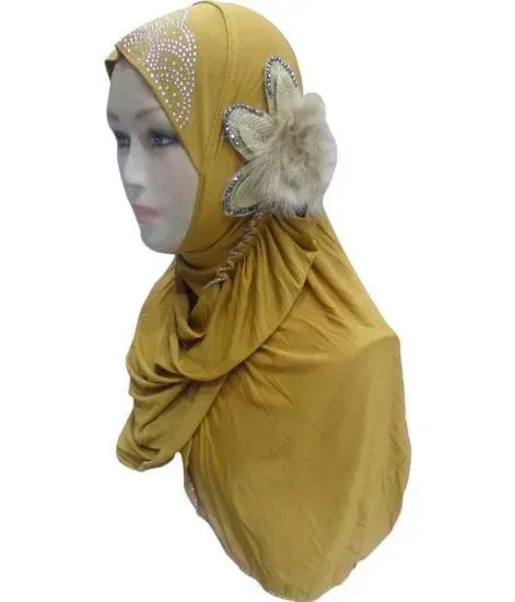Picture of Beautiful Georgette with Rhinestone border Scarf/,hijab