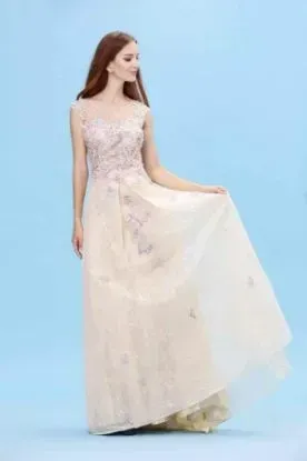 Picture of luxurious oriental exclusive wedding gown for women dr,