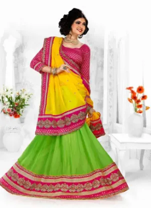 Picture of a-line bridal lehenga,ghagra choli designschaniya choli