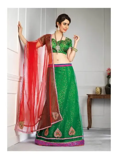 Picture of astounding net embroidered lehenga saree,sabyasachi's l