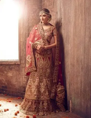 https://radhedesigner.com/images/thumbs/000/0003346_beautiful-bridal-indian-traditional-mehroon-lehenga-ch_450.webp