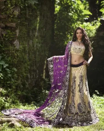 https://radhedesigner.com/images/thumbs/000/0003360_beautiful-pakistani-bridal-lehenga4-piece-lehenga-chol_450.webp