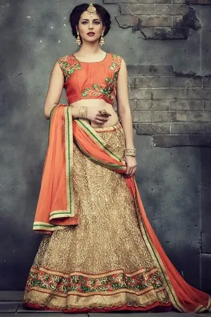 https://radhedesigner.com/images/thumbs/000/0003402_blue-net-lehenga-indian-bridal-wedding-partywear-fancy_450.webp