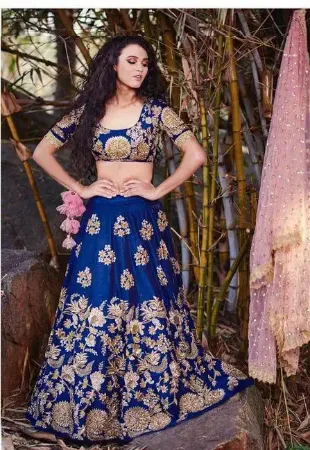 https://radhedesigner.com/images/thumbs/000/0003410_blue-velvet-lehenga-sareeghagra-choli-moviechaniya-ch_450.webp