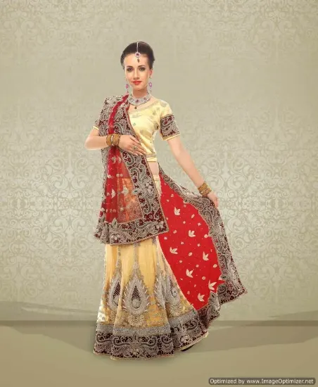 Picture of blush pink & gold embroidered lace lehenga saree sari ,