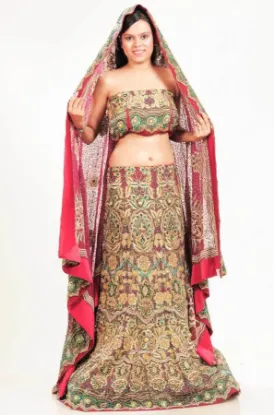 Picture of bollywood anarkali lehenga,ghagra choli readymadechaniy