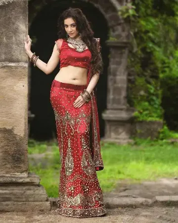 https://radhedesigner.com/images/thumbs/000/0003443_bollywood-bridal-lehenga-choli-indian-pakistani-heavy-_450.webp