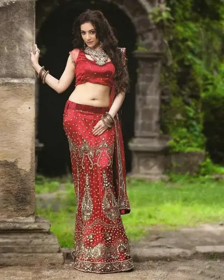 Picture of bollywood bridal lehenga choli indian pakistani heavy ,