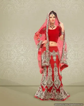 Picture of bollywood choli lehenga indian wedding ethnic women de,