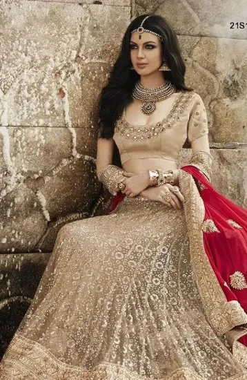 Picture of bollywood designer latest choli lehenga traditional bri