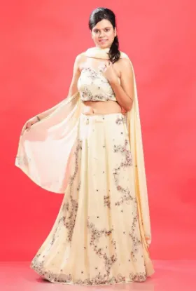 Picture of bollywood dress lehenga with beach dress,lehenga cholic