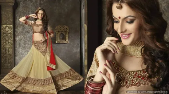 Picture of bollywood indian pakistani designer lehenga choli modes