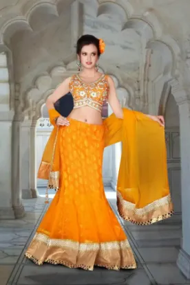 Picture of bollywood inspired lehenga,ghagra choli with coatchaniy