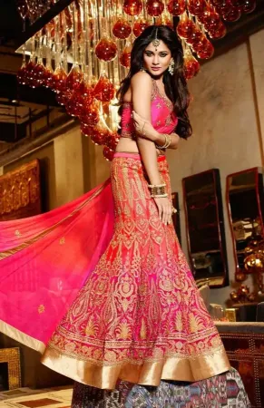 https://radhedesigner.com/images/thumbs/000/0003648_bollywood-lehenga-2024lehenga-choli-back-designschani_450.webp