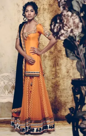 https://radhedesigner.com/images/thumbs/000/0003669_bollywood-lehenga-blouse-designsghagra-choli-ram-leela_450.webp