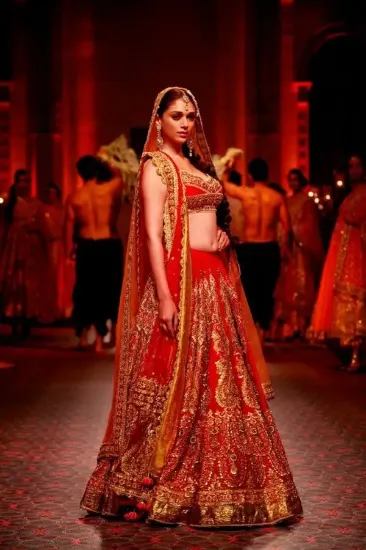 Picture of bollywood lehenga choli 2024,lehenga choli colour comb,