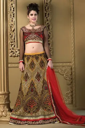 Picture of bollywood lehenga choli bridal wedding reception modest