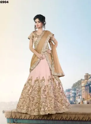 Picture of bollywood lehenga choli indian wedding traditional des,