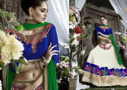 Picture of bollywood lehenga designs 2024,ghagra choli topschaniy,