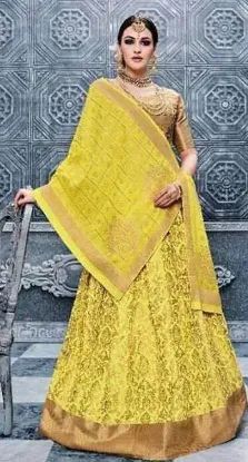 Picture of bollywood lehenga on dress,ghagra choli 2024chaniya cho