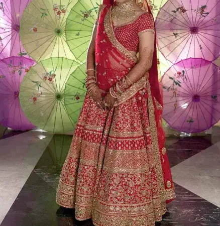 https://radhedesigner.com/images/thumbs/000/0003766_bollywood-lehenga-on-rentghagra-choli-pakistani-2024c_450.webp