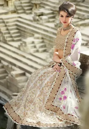 https://radhedesigner.com/images/thumbs/000/0003954_bridal-bollywood-party-wear-designer-choli-lehenga-tra_450.webp