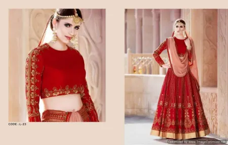 https://radhedesigner.com/images/thumbs/000/0003986_bridal-lehenga-2024-collectionlehenga-saree-at-jabong_450.webp