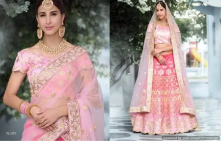 https://radhedesigner.com/images/thumbs/000/0003991_bridal-lehenga-2024-in-pakistanlehenga-saree-and-pric_450.webp