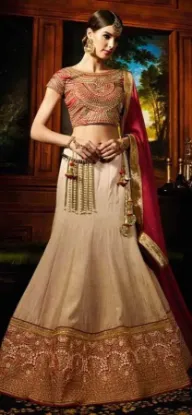 Picture of bridal lehenga 2024,lehenga sareechaniya choli,choli,l,