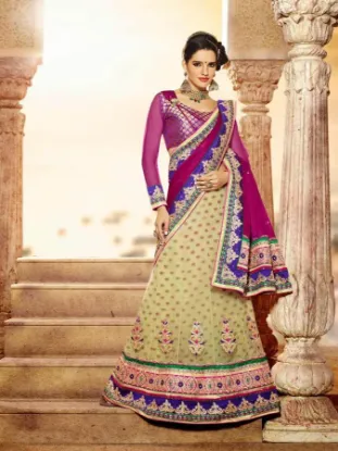 Picture of bridal lehenga 2024,lehenga sareechaniya choli,choli,le