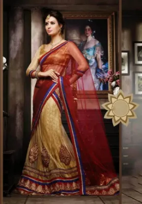 Picture of bridal lehenga amritsar,lehenga choli etsychaniya choli