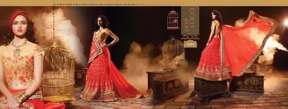 Picture of bridal lehenga choli images,lehenga choli hd photoscha,