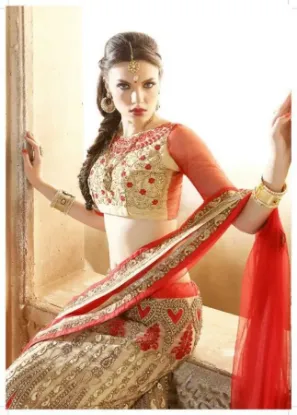 Picture of bridal lehenga gown,lehenga choli ladieschaniya choli,,