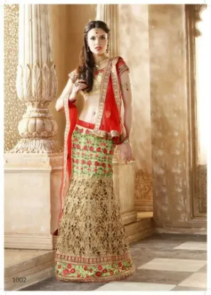 Picture of bridal lehenga heavy,lehenga choli meaningchaniya chol,