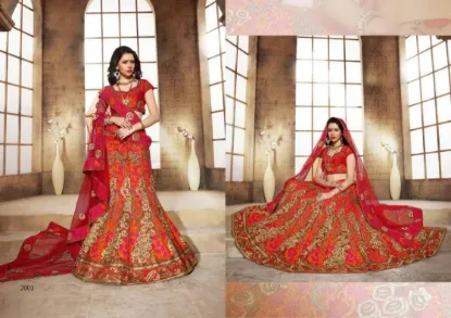 Picture of bridal lehenga hoshiarpur,lehenga choli modelschaniya ,