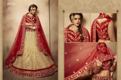 Picture of bridal lehenga in delhi,lehenga choli modest maxi gown 