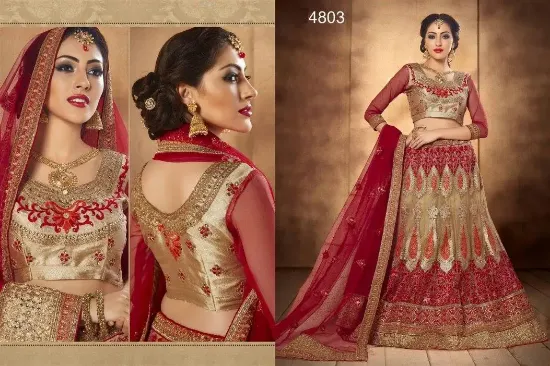 Picture of bridal lehenga in dhaka,lehenga choli neck designchani,