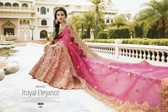 Picture of bridal lehenga lucknow,lehenga choli red and blackchan,