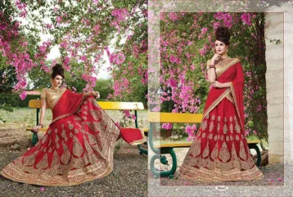 Picture of bridal lehenga modest maxi gown,lehenga choli topchaniy