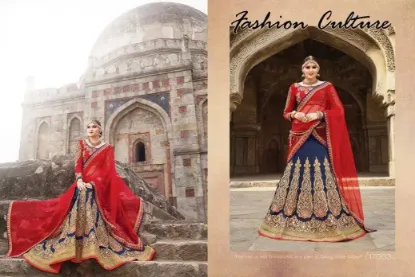 Picture of bridal lehenga online usa,lehenga choli designs in ind,