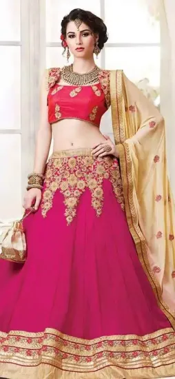 Picture of bridal lehenga range 25000,lehenga choli with long blo,