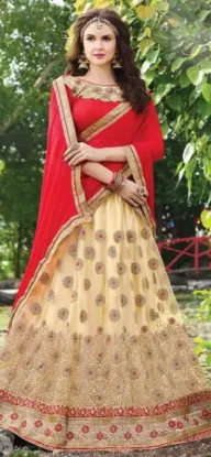 Picture of bridal lehenga rental,lehenga choli wikichaniya choli,,