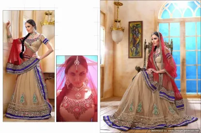 Picture of bridal lehenga tarun tahiliani,lehenga choli for 1 year