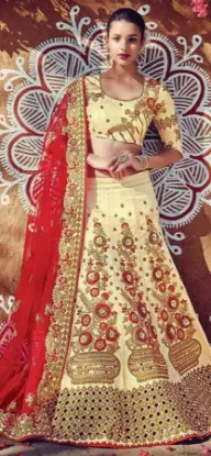 Picture of bridal lehenga with beach dress in chandni chowk,leheng