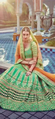 Picture of bridal lehenga with train,lehenga choli 500chaniya cho,