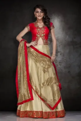 Picture of bridal lehenga,lehenga choli designs for engagement wi,