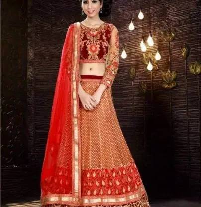 Picture of bridal wedding indian pakistani ethnic party wear dress