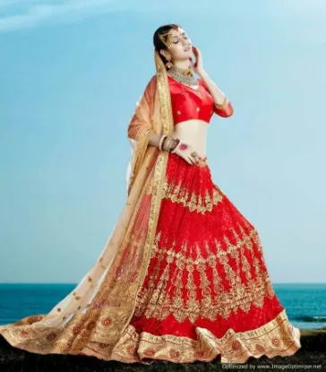 Picture of bridal wedding lehenga choli indian pakistani ethnic pa