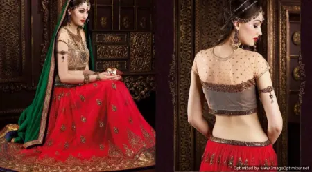 https://radhedesigner.com/images/thumbs/000/0004667_buy-pakistani-bridal-lehenga34-lehengachaniya-choli_450.webp